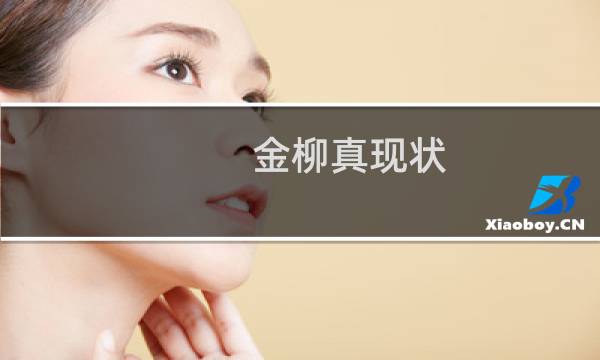 金柳真现状（金柳真）