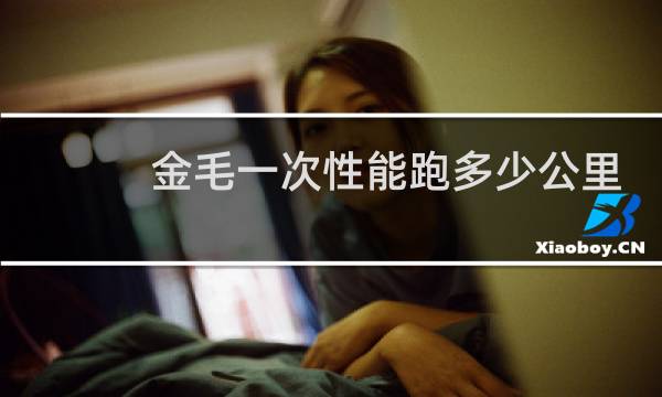 金毛一次性能跑多少公里
