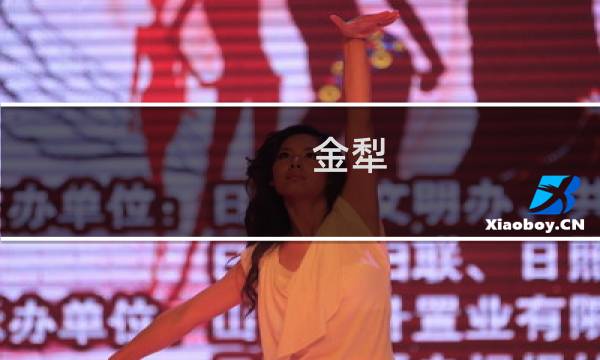 金犁(金犁解读，究竟什么是区块链?)