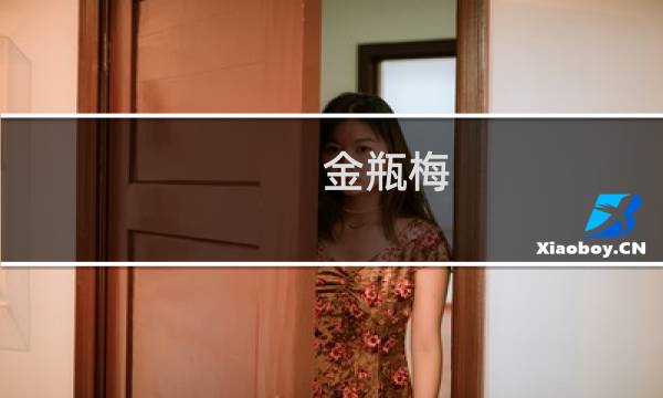 金瓶梅 3高清完整版图片