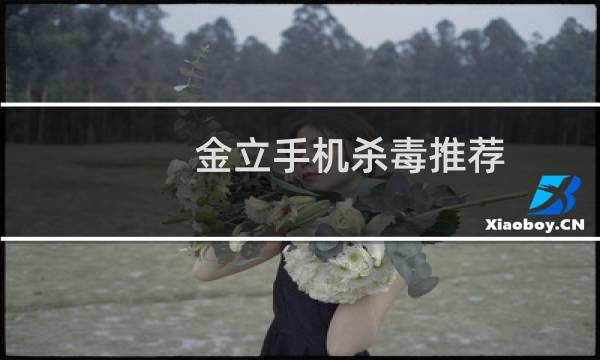 金立手机杀毒推荐（金立手机杀毒软件）图片