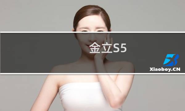 金立S5.5指令与代码含义