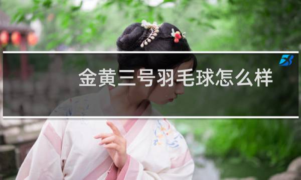 金黄三号羽毛球怎么样