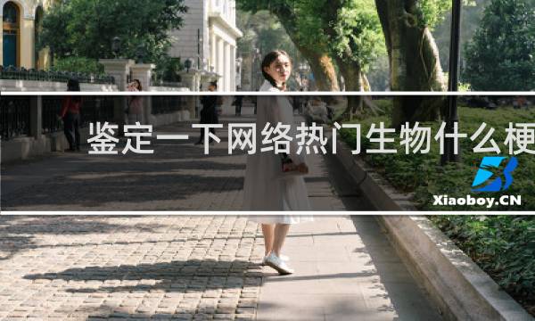 鉴定一下网络热门生物什么梗