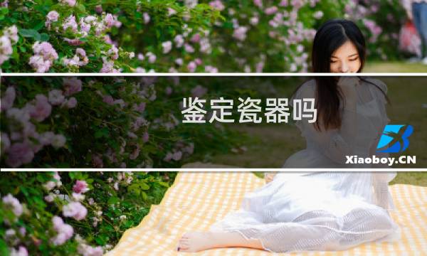 鉴定瓷器吗图片