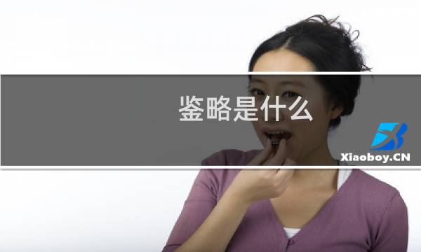 鉴略是什么