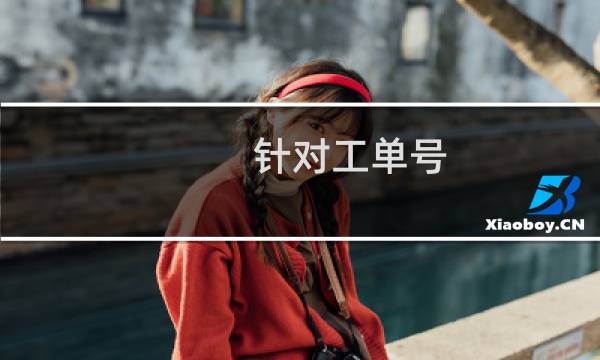 针对工单号 -云服务器问题