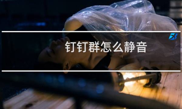 钉钉群怎么静音？钉钉群消息免打扰开启方法