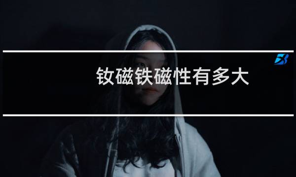 钕磁铁磁性有多大