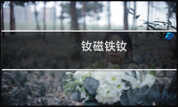 钕磁铁钕