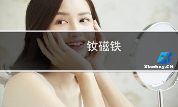 钕磁铁