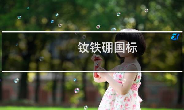 钕铁硼国标