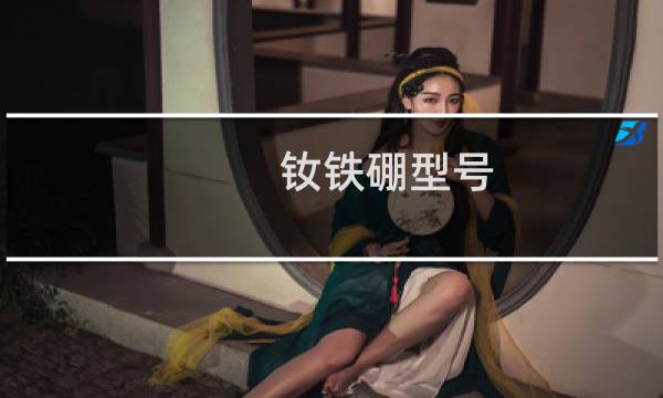 钕铁硼型号