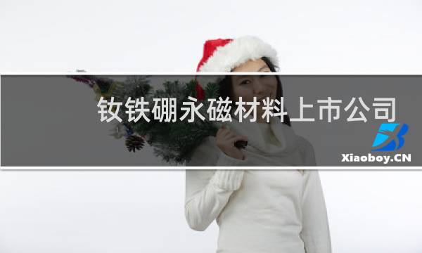 钕铁硼永磁材料上市公司