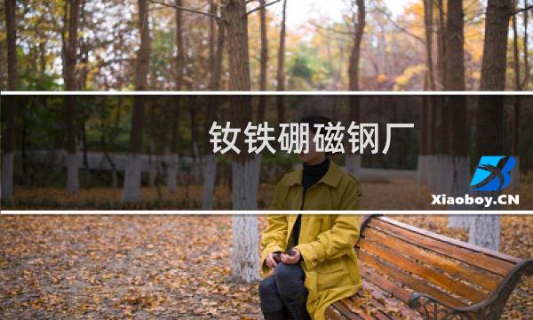 钕铁硼磁钢厂
