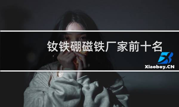 钕铁硼磁铁厂家前十名