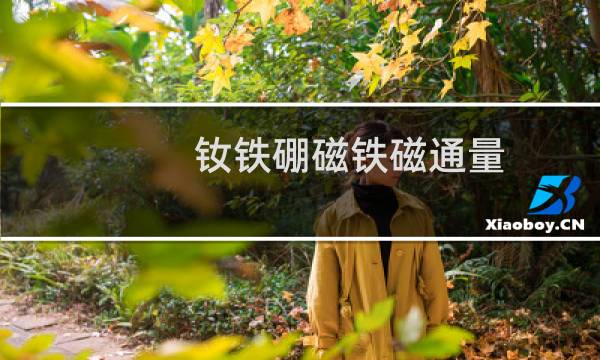钕铁硼磁铁磁通量