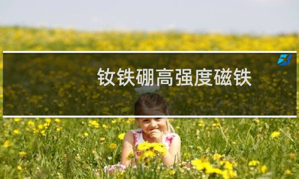 钕铁硼高强度磁铁