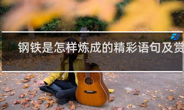 钢铁是怎样炼成的精彩语句及赏析