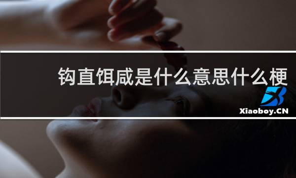 钩直饵咸是什么意思什么梗