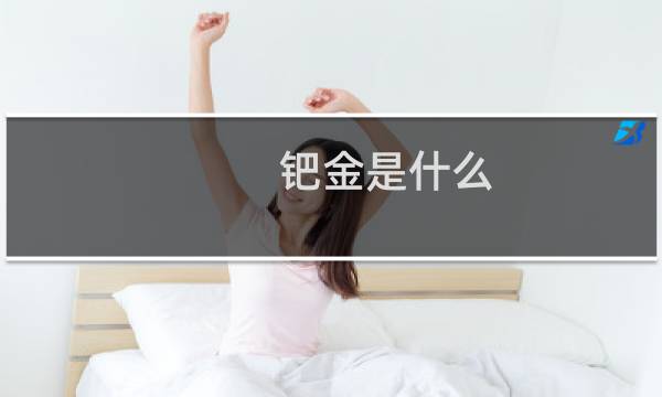 钯金是什么（钯金的优缺点优点）图片