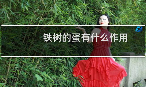 铁树的蛋有什么作用