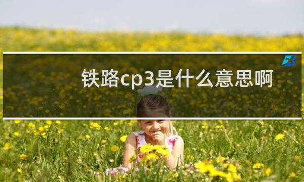 铁路cp3是什么意思啊