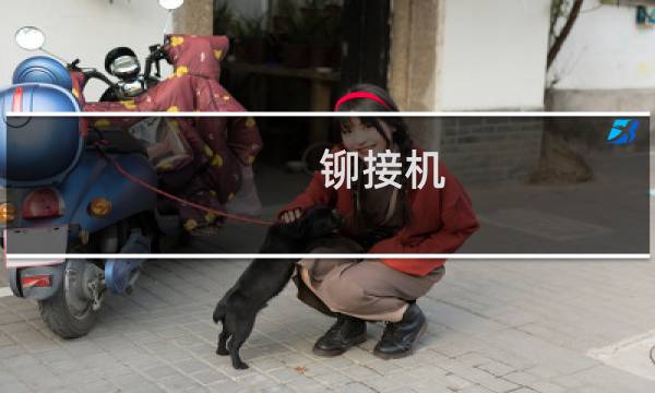 铆接机图片