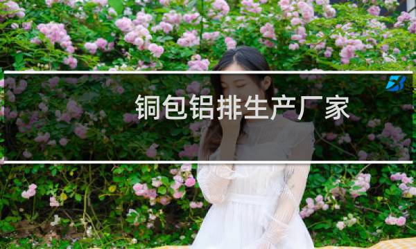 铜包铝排生产厂家（铜包铝）图片