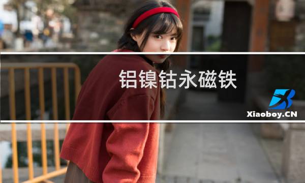 铝镍钴永磁铁