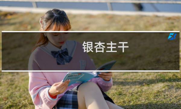 银杏主干