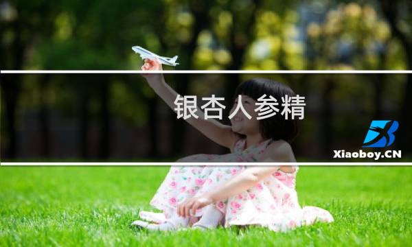 银杏人参精