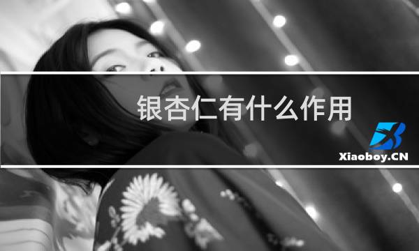 银杏仁有什么作用
