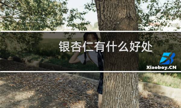 银杏仁有什么好处