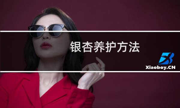 银杏养护方法