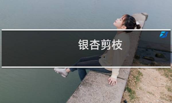 银杏剪枝