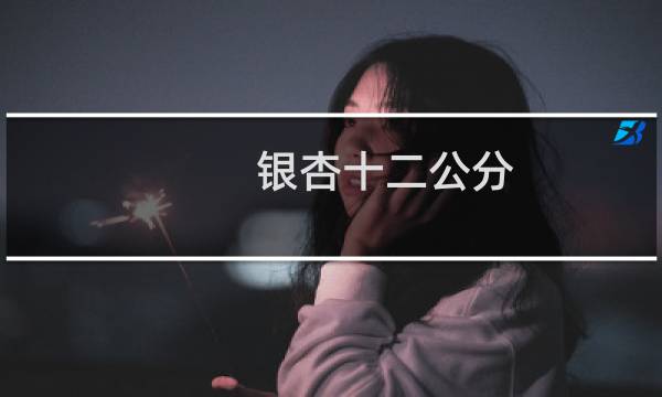 银杏十二公分