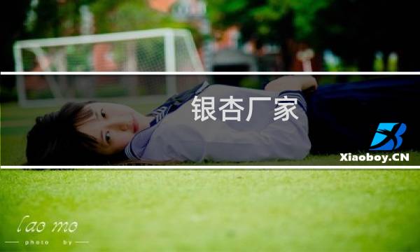 银杏厂家