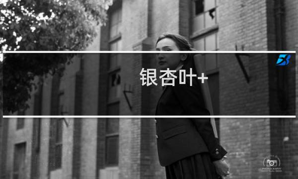 银杏叶+
