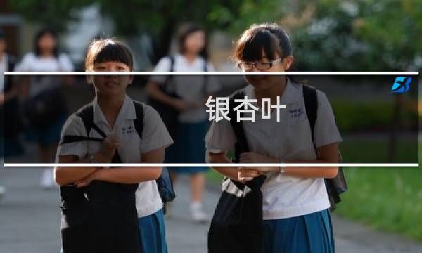 银杏叶,罗布麻