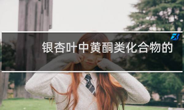 银杏叶中黄酮类化合物的提取
