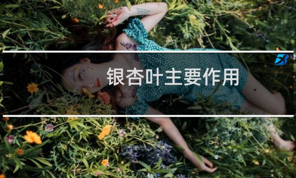 银杏叶主要作用