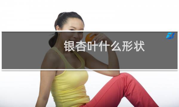 银杏叶什么形状