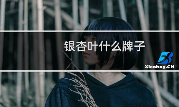 银杏叶什么牌子