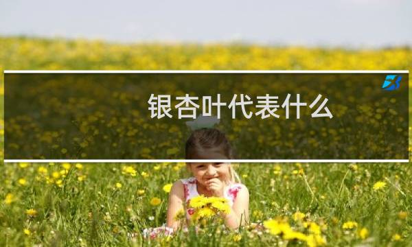 银杏叶代表什么