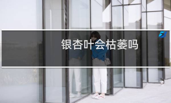 银杏叶会枯萎吗