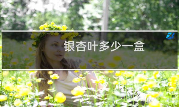 银杏叶多少一盒