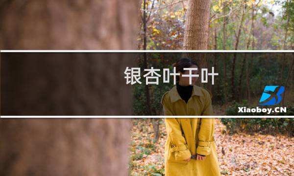 银杏叶干叶