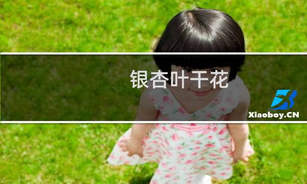 银杏叶干花