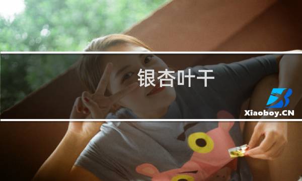 银杏叶干